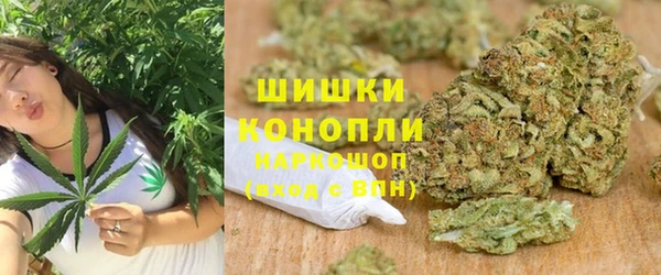 a pvp Бородино