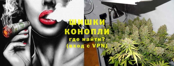 a pvp Бородино