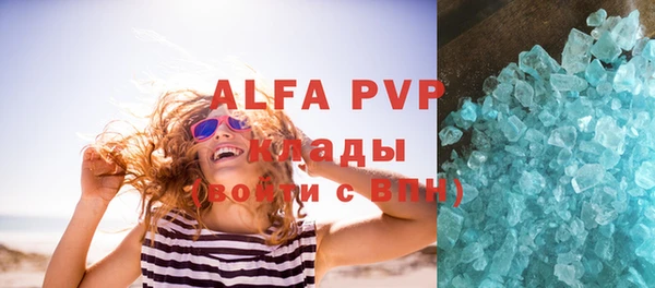 a pvp Бородино