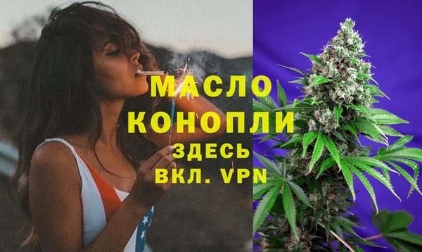 сатива Володарск
