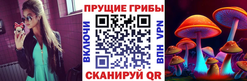 Галлюциногенные грибы ЛСД  сколько стоит  гидра зеркало  сайты даркнета как зайти  Сретенск 